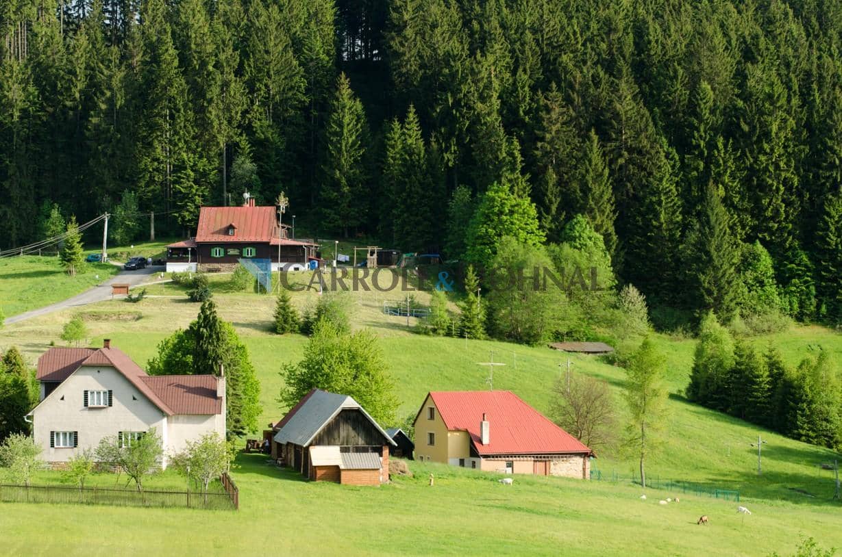 Dorotanka - fotojarinko.cz-0028.jpg