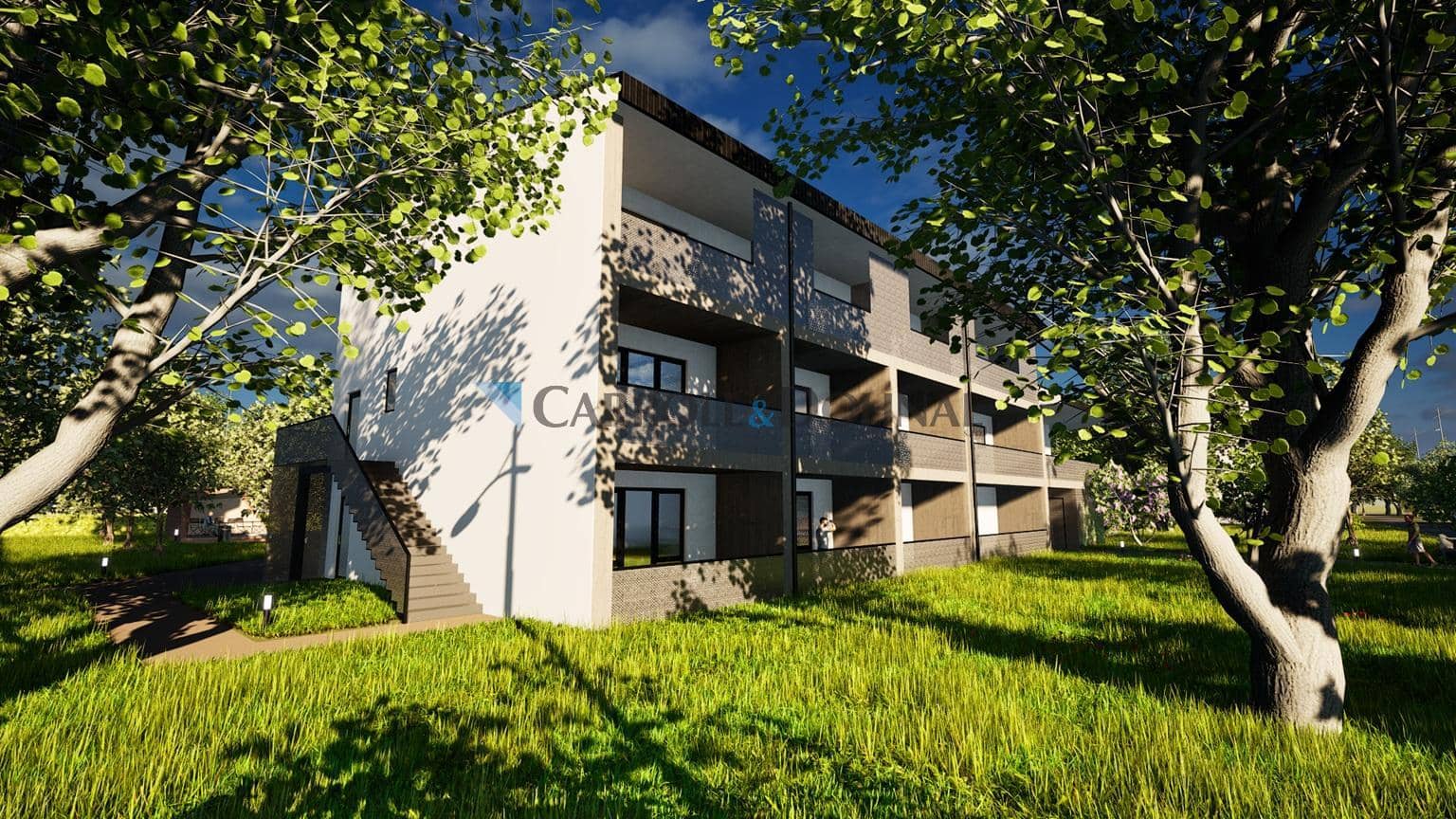 Image8_m-3.jpg
