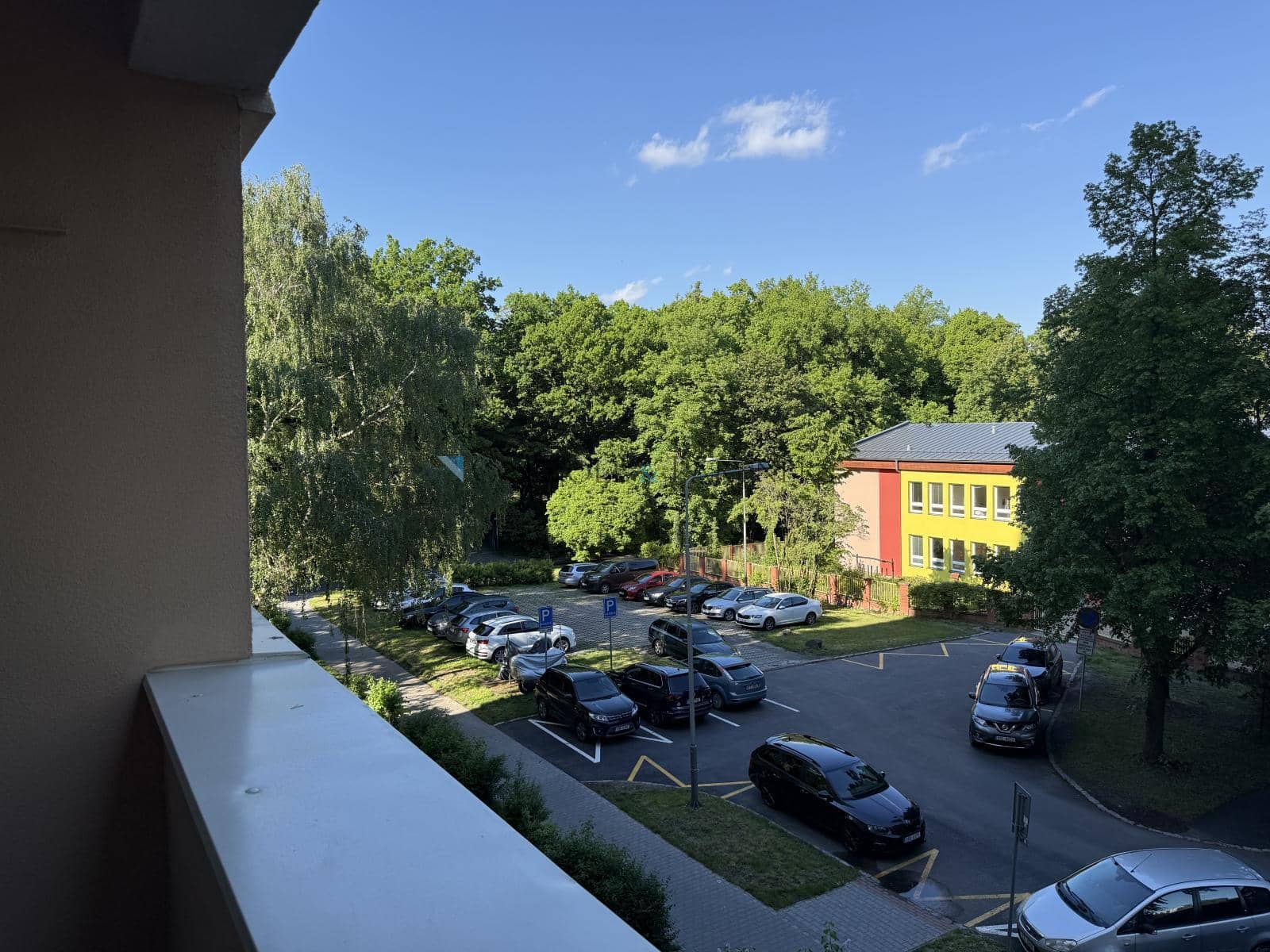 IMG_4169.jpeg