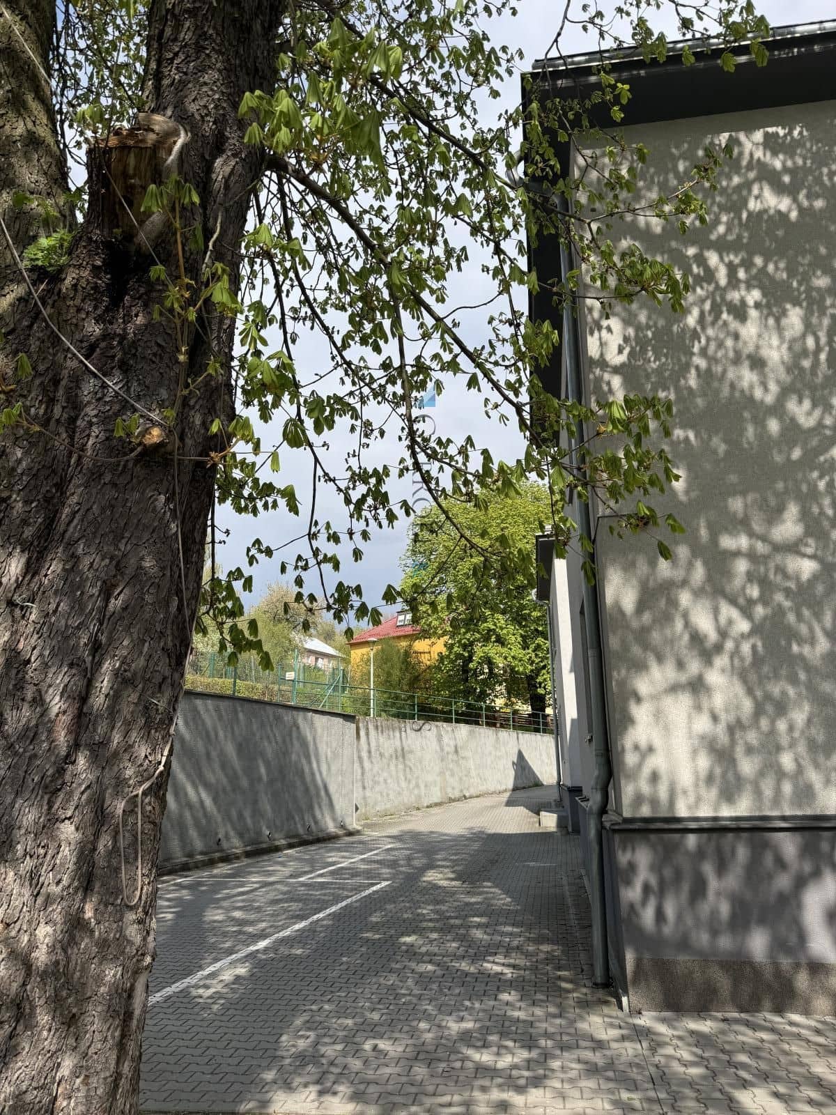IMG_3593.jpeg