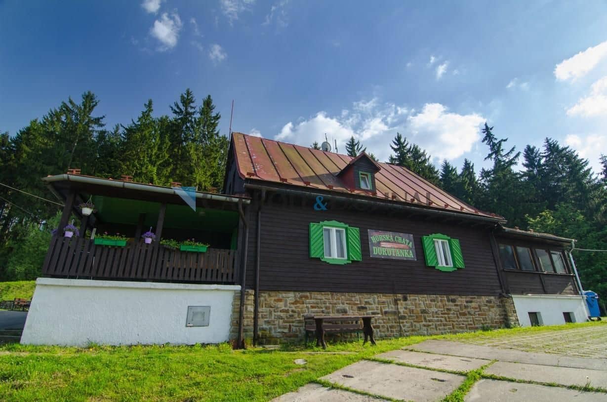 Dorotanka - fotojarinko.cz-0019.jpg